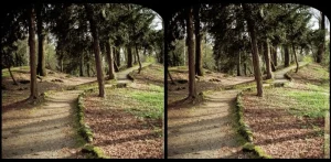 Camera: Stereo Realist